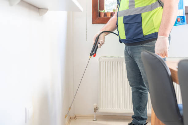 Best Pest Removal Services  in Palm Desert, CA