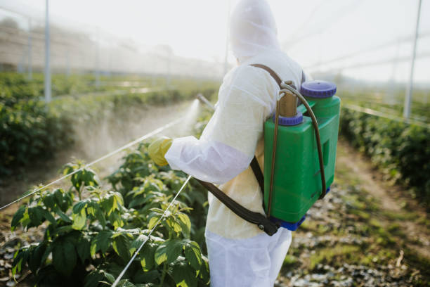 Best Pest Control for Businesses  in Palm Desert, CA